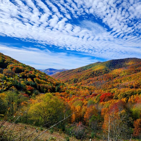 The Hastings House - Picture 1 of 1